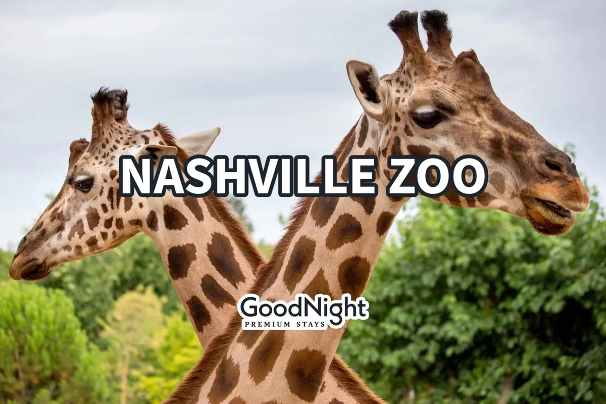 A joyful exterior scene at the Nashville Zoo, with giraffes in the foreground surrounded by lush greenery. Families can be seen interacting with the animals and taking photographs, capturing a lively and educational outing.